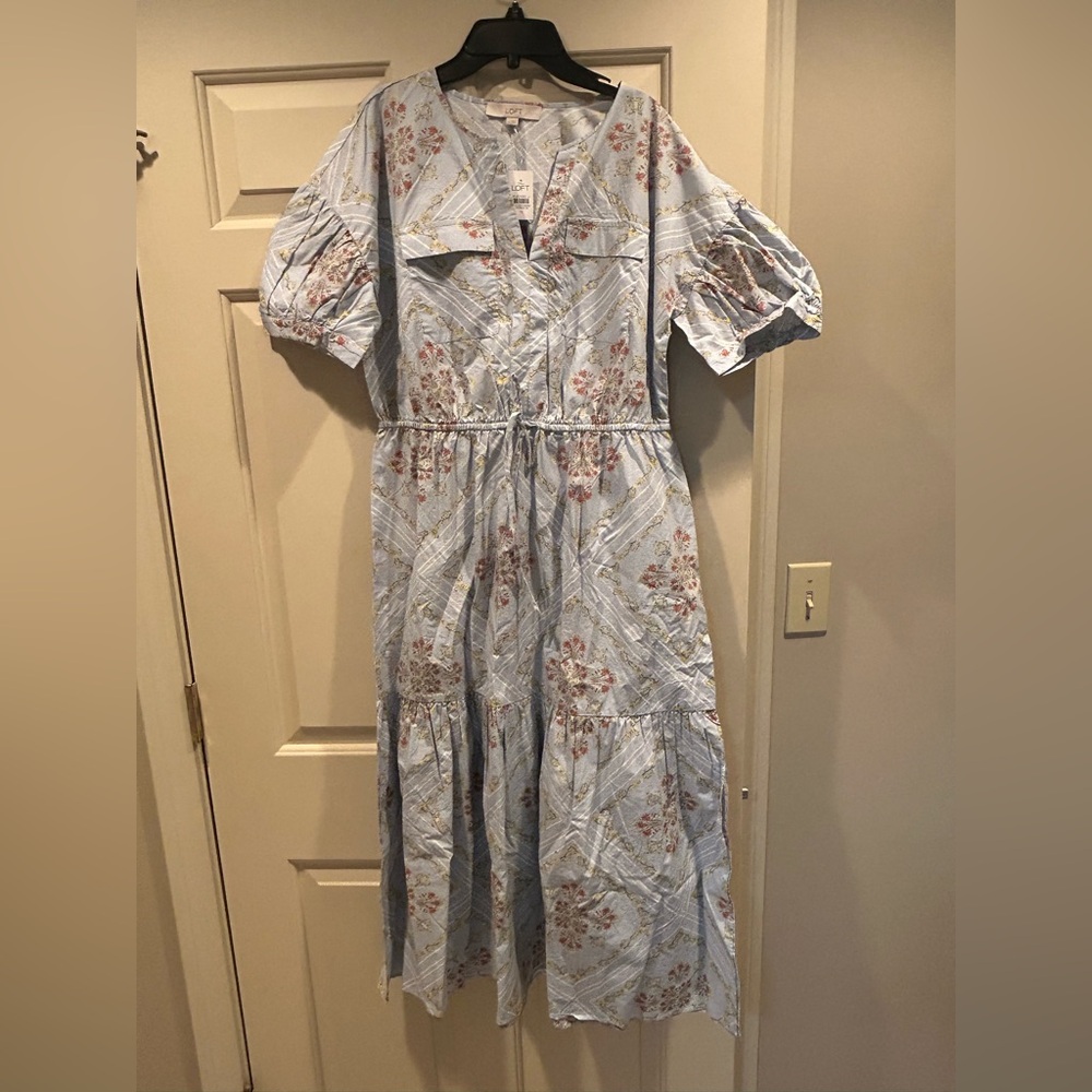 Ann Taylor Loft Floral Blue Cotton Dress